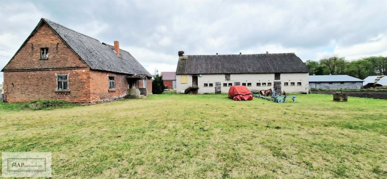 Działka Jabłków. Zdjęcie 12