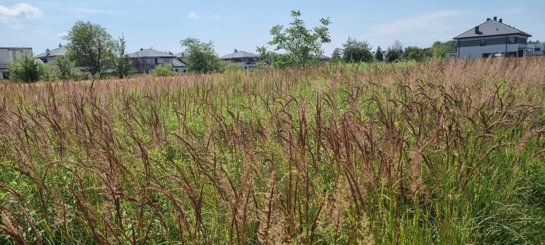 Działka budowlana Michałowice-Wieś. Zdjęcie 2