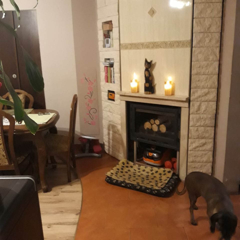 Nieruchomość komercyjna Kalisz Rypinek, ul. Częstochowska. Zdjęcie 7