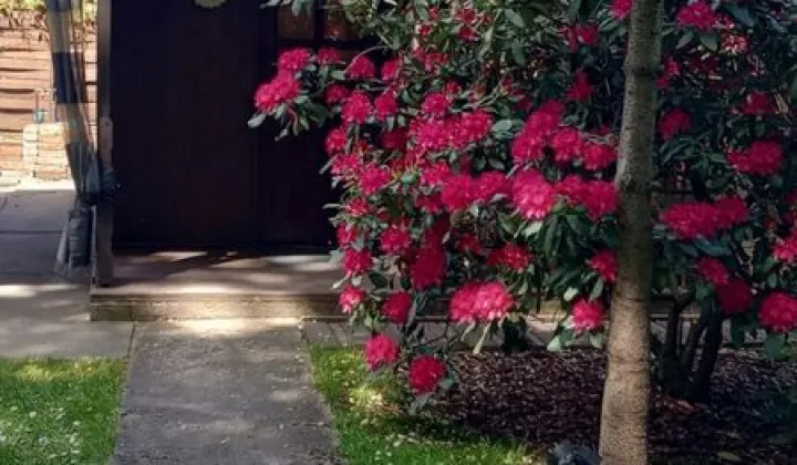 Działka rod Jaworzno