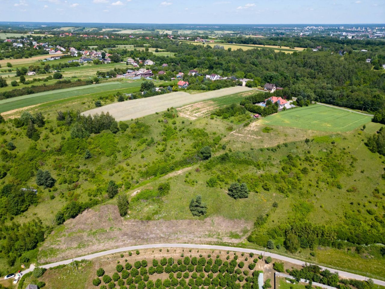 Działka rolna Gromadzice. Zdjęcie 3