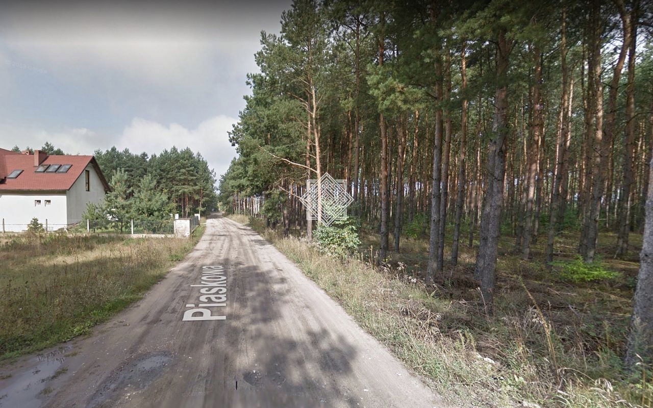 Działka leśna Kuczek. Zdjęcie 8