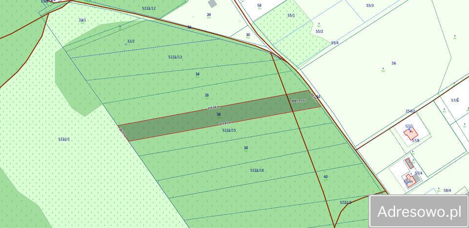 Działka leśna Rodzone
