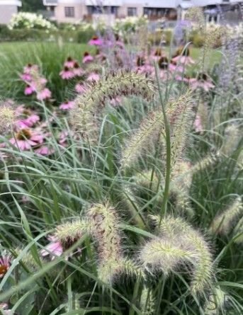 Mieszkanie 3-pokojowe Warszawa Białołęka, ul. Mariana Wyrzykowskiego. Zdjęcie 11