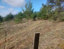 Działka budowlana Żabno. Zdjęcie 1