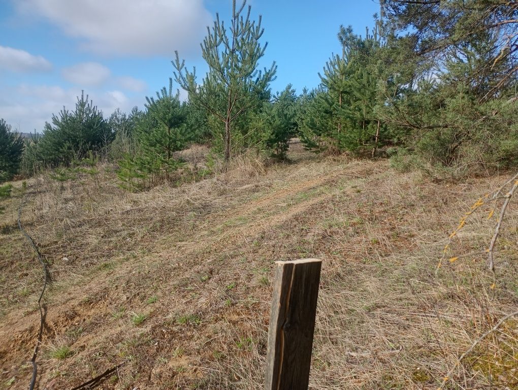 Działka budowlana Żabno. Zdjęcie 2