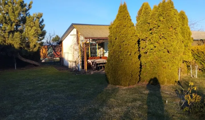 Działka rod Siedlce, ul. Graniczna