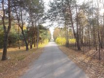 Działka budowlana Stare Skoszewy. Zdjęcie 4