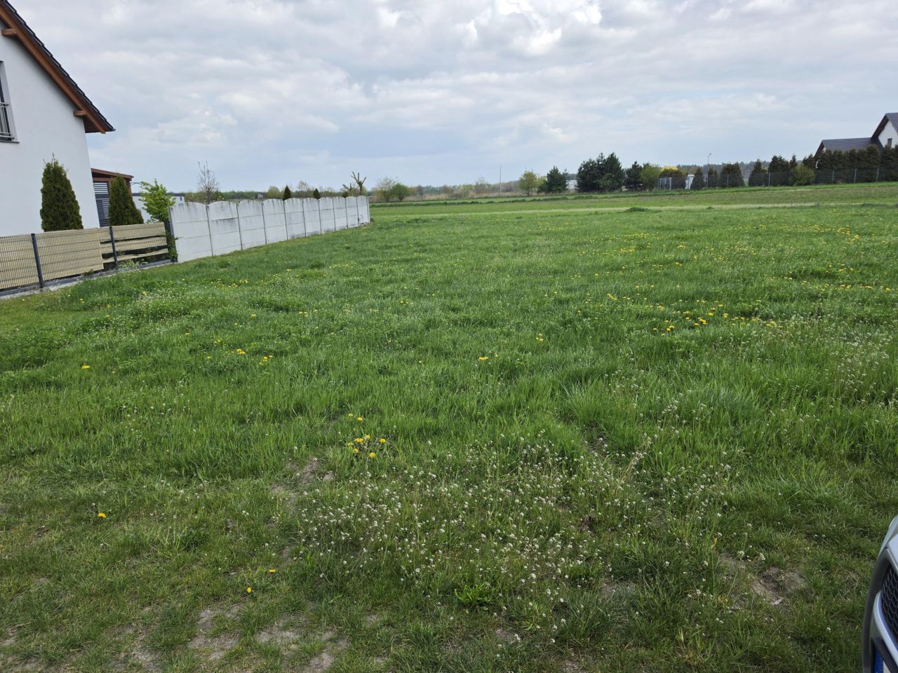 Działka budowlana Sieroniowice Grzeboszowice, Olszowska. Zdjęcie 4