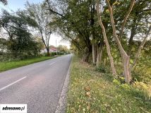 Działka budowlana Zadębie. Zdjęcie 4