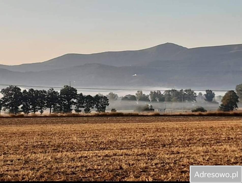 Działka rolna Wojcieszyce. Zdjęcie 8