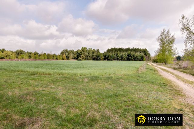 siedlisko, 3 pokoje Nowosady. Zdjęcie 16