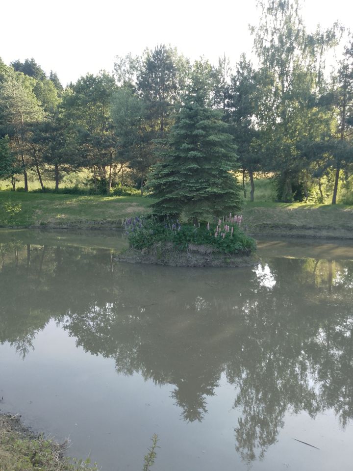 Działka rolno-budowlana Witoszyńce. Zdjęcie 7