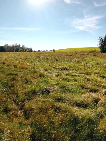 Działka budowlana Konojady. Zdjęcie 1