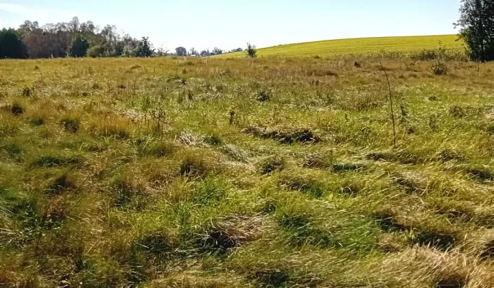 Działka budowlana Konojady