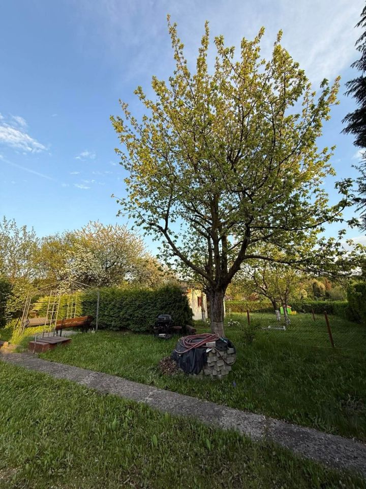 Działka rod Będzin Górki Małobądzkie. Zdjęcie 5