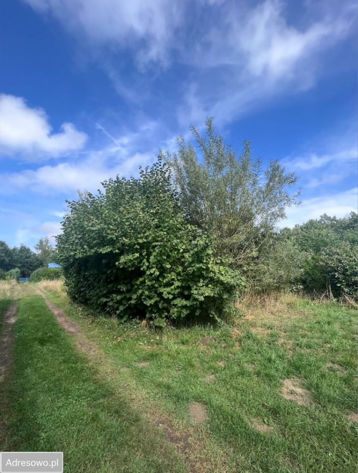 Działka rekreacyjna Wierzchucinek. Zdjęcie 4