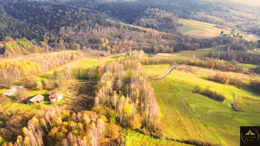 Działka rolno-budowlana Pietrusza Wola. Zdjęcie 8