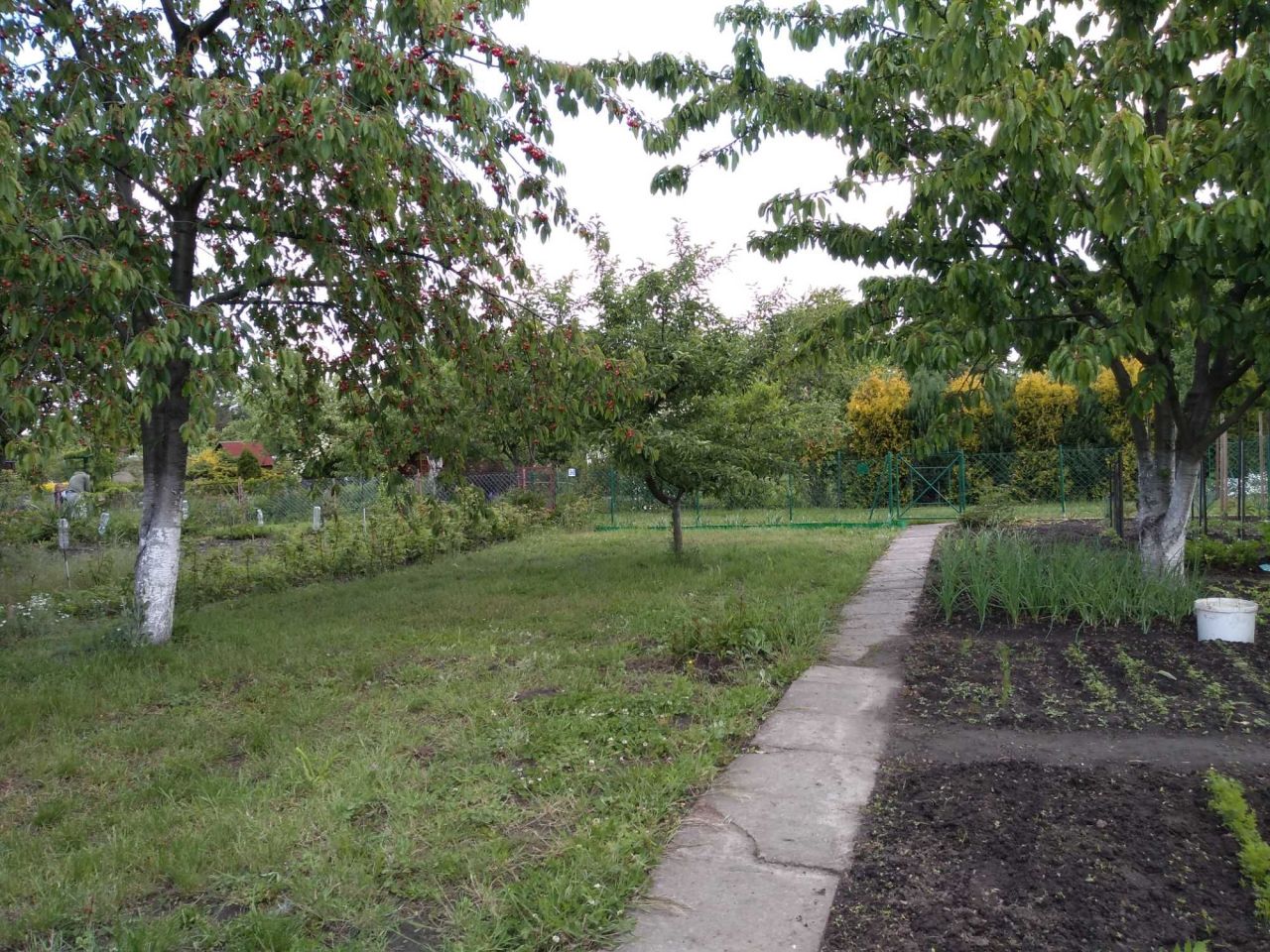 Działka rod Wrocław Brochów, ul. Wiaduktowa