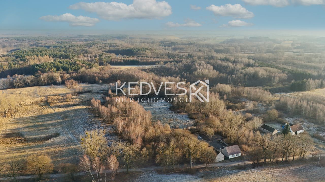 Działka rolna Mariankowo. Zdjęcie 6