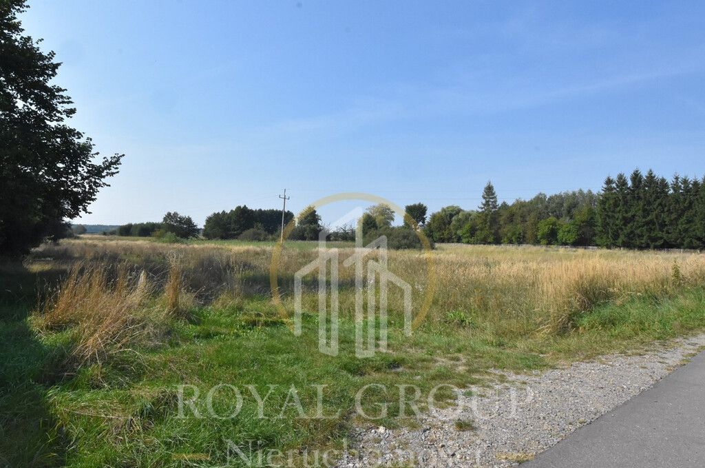 Działka Kamionka. Zdjęcie 7