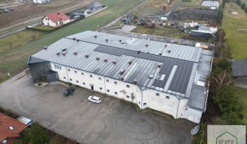 Hala/magazyn Biernatki, al. Flensa