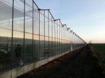 Działka rolno-budowlana Tłokinia Wielka. Zdjęcie 2