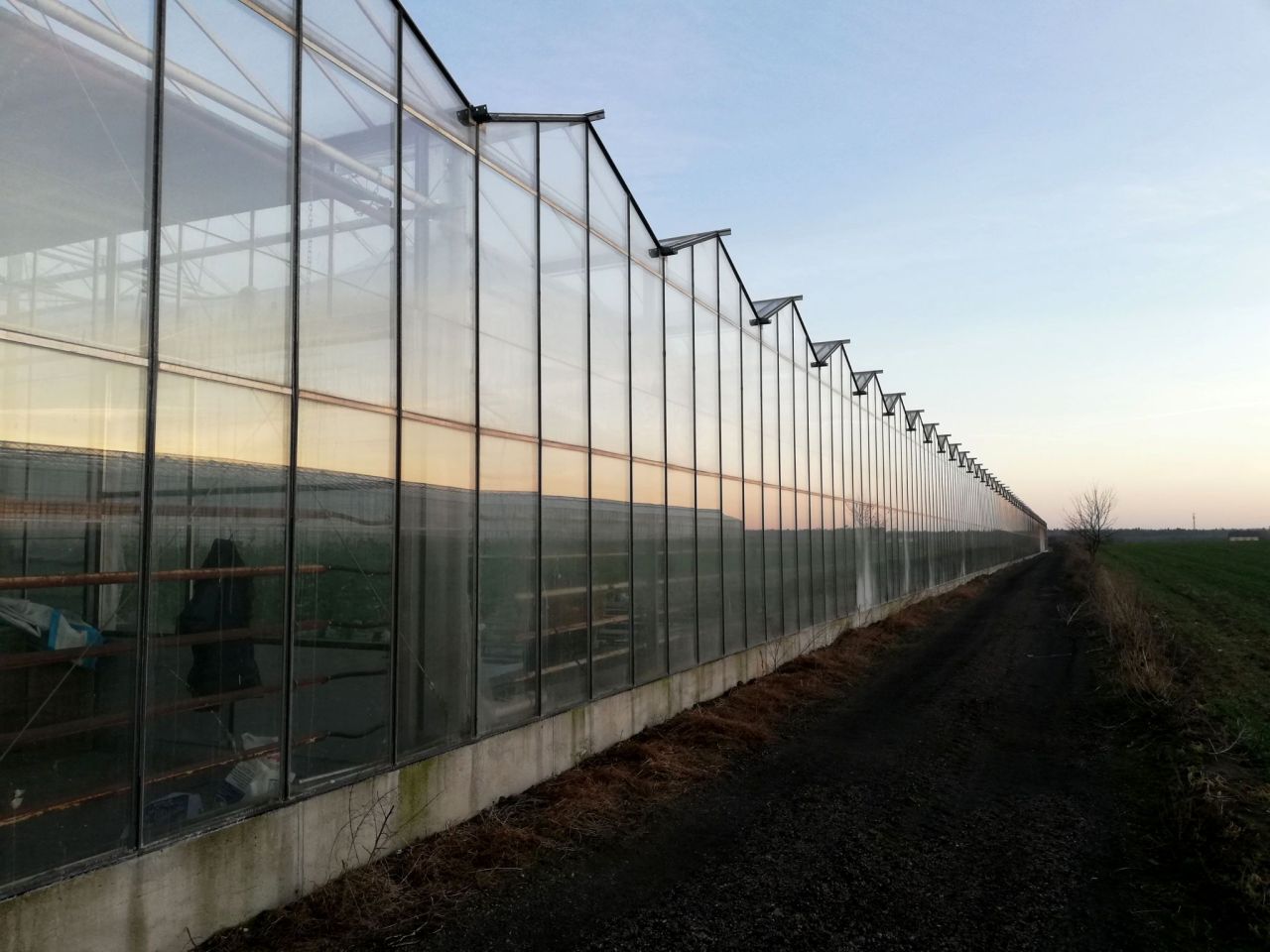 Działka rolno-budowlana Tłokinia Wielka. Zdjęcie 3