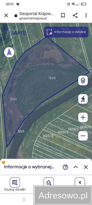 Działka rekreacyjna Radzyń Podlaski. Zdjęcie 2