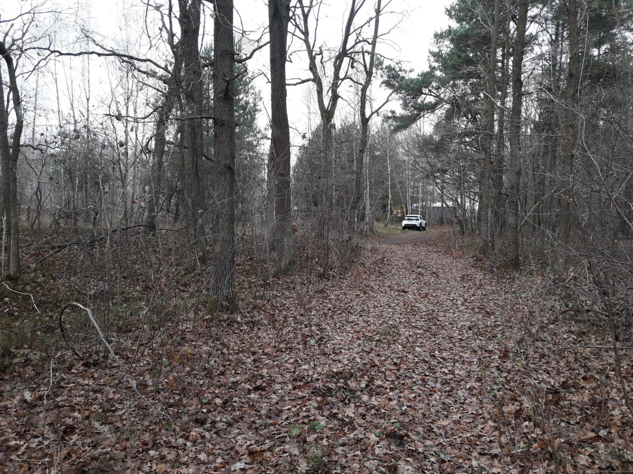 Działka inna Stare Załucze. Zdjęcie 20