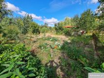 Działka rod Połaniec. Zdjęcie 4