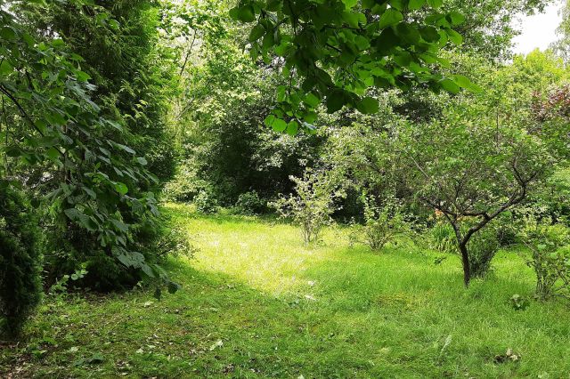 dom wolnostojący, 3 pokoje Łapalice, ul. Zamkowa. Zdjęcie 33