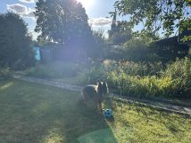 Działka rod Zabrze Grzybowice, ul. Traktorzystów