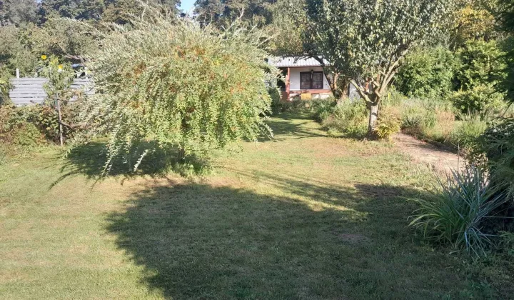 Działka rod Rydzyna