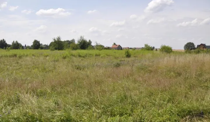 Działka budowlana Orzesze