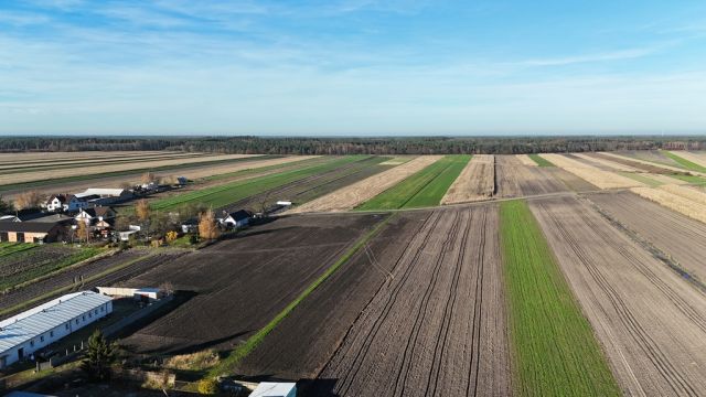 Hala/magazyn Zbiersk. Zdjęcie 5