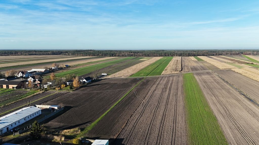 Hala/magazyn Zbiersk. Zdjęcie 5