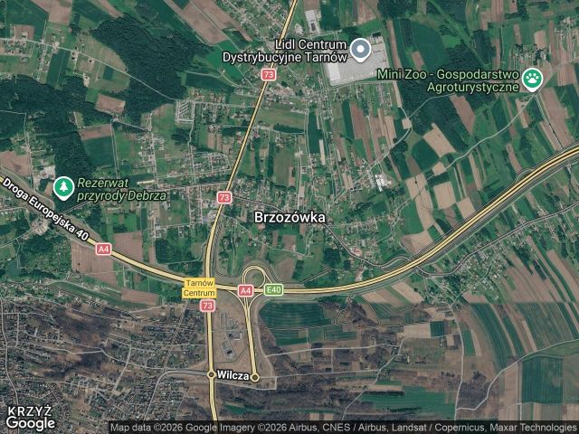Działka rolna Brzozówka, bez nazwy. Zdjęcie 1