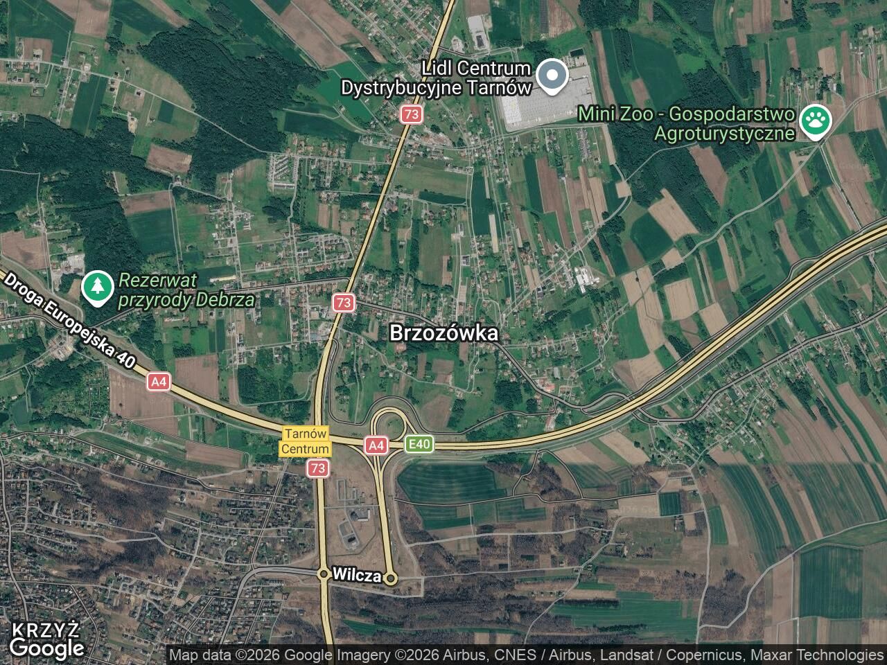 Działka rolna Brzozówka, bez nazwy. Zdjęcie 1