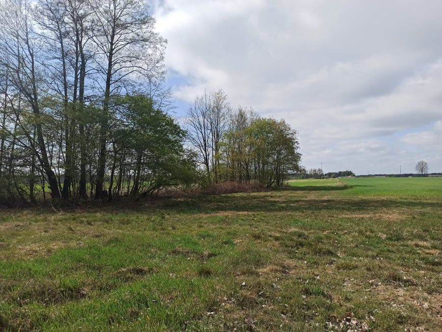 Działka rolno-budowlana Trzcianka. Zdjęcie 3