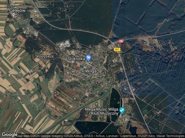 Działka leśna Maciejowice, ul. Borowa. Zdjęcie 1