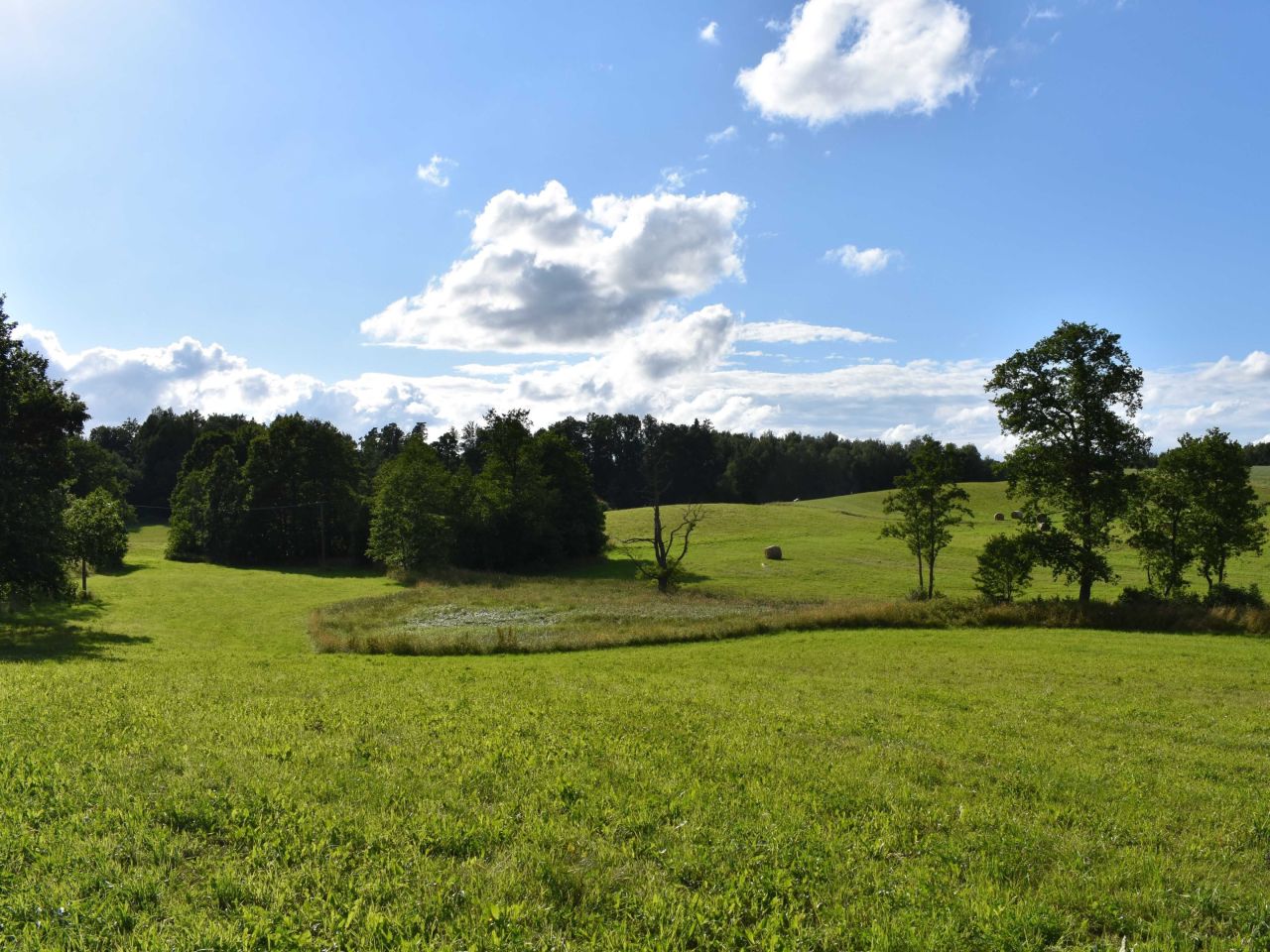Działka rolna Pudlikajmy. Zdjęcie 7