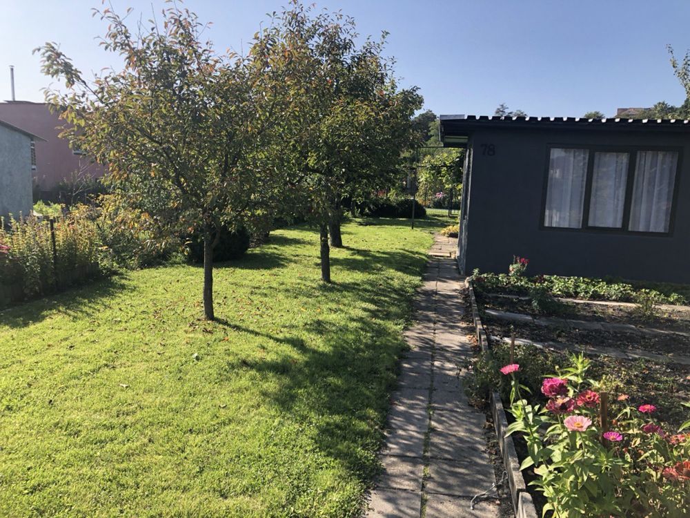 Działka rod Piła, ul. Szymanowskiego. Zdjęcie 6