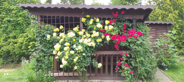 Działka rekreacyjna Olsztyn, ul. Ignacego Krasickiego. Zdjęcie 1