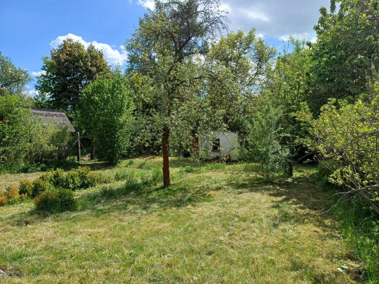 Działka rod Wrocław Krzyki, ul. Gazowa. Zdjęcie 3