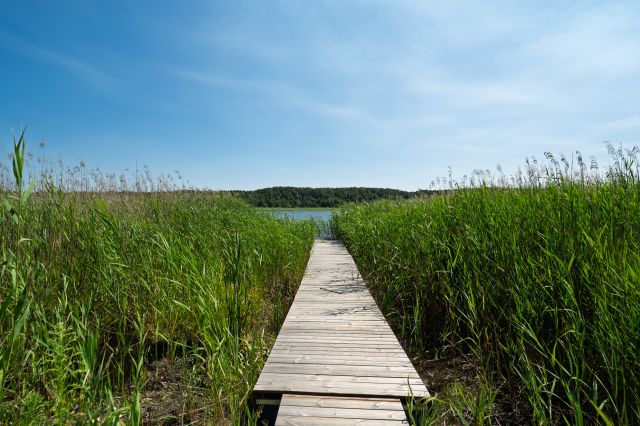 dom wolnostojący, 3 pokoje Pilchy. Zdjęcie 4