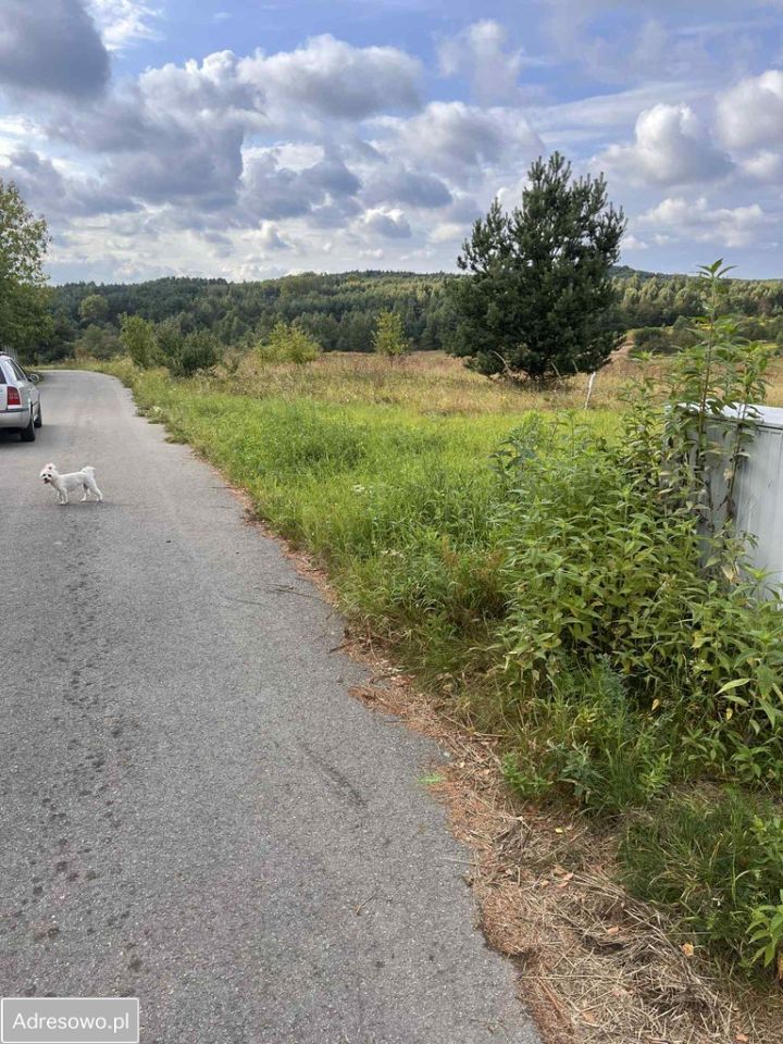 Działka rolno-budowlana Kwaśniów Górny. Zdjęcie 2