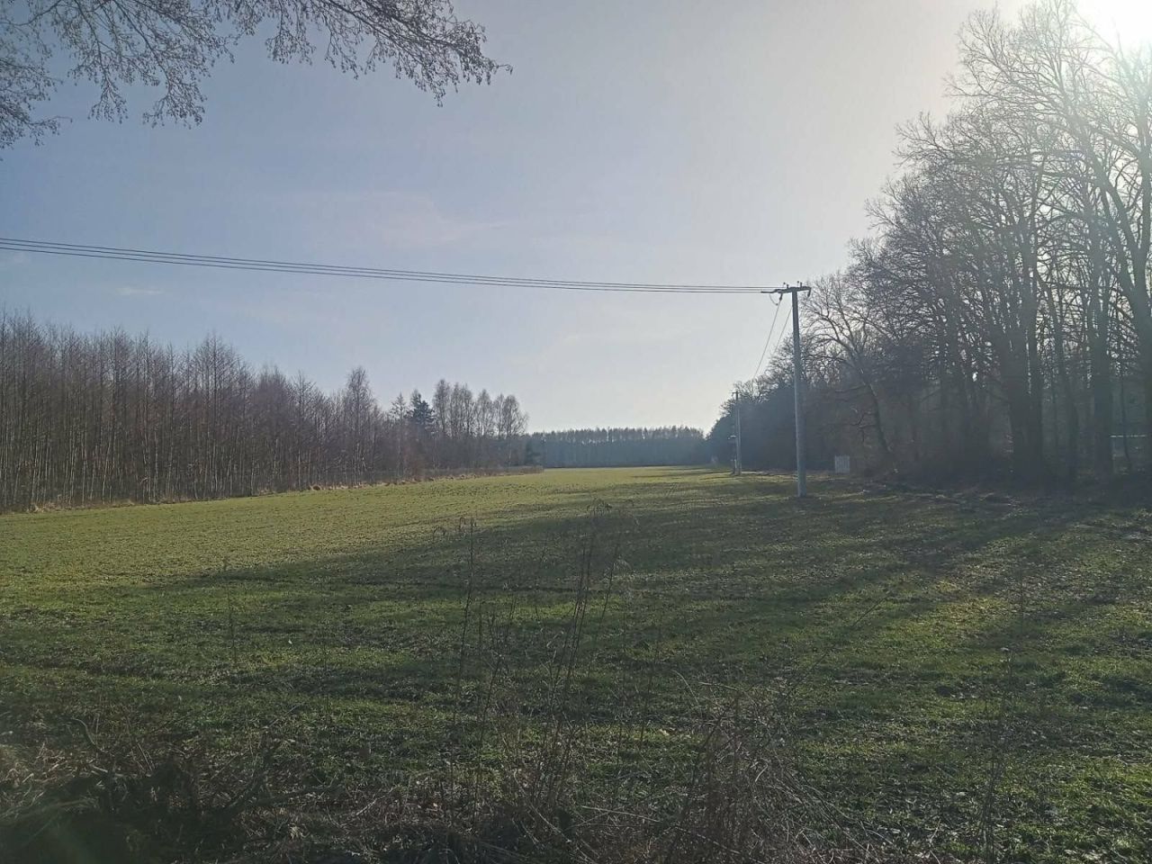 Działka inwestycyjna Bolewice. Zdjęcie 1