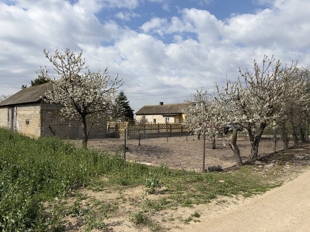 gospodarstwo Stróżewo. Zdjęcie 2