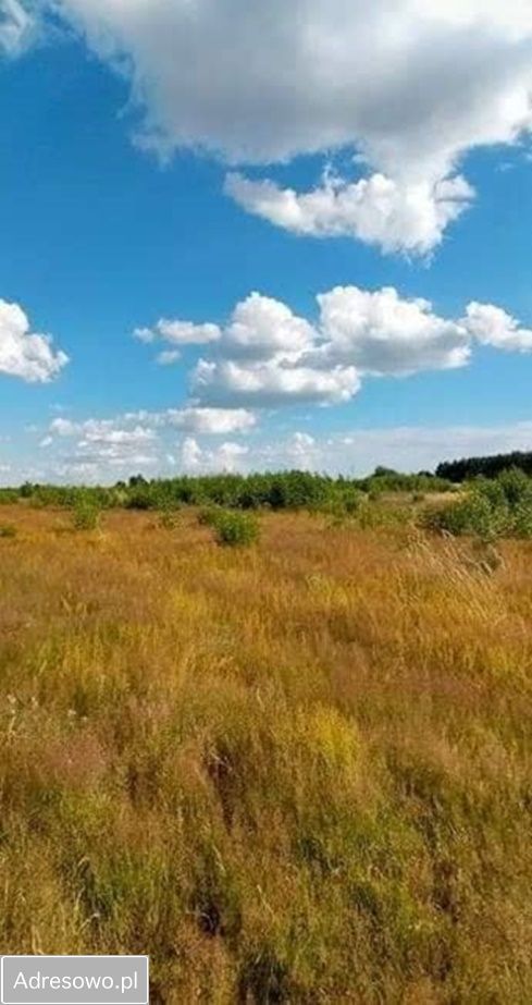 Działka rolno-budowlana Jania Góra. Zdjęcie 2